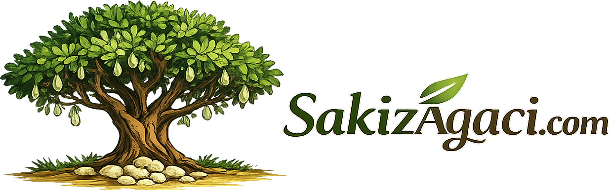 Sakız Ağacı